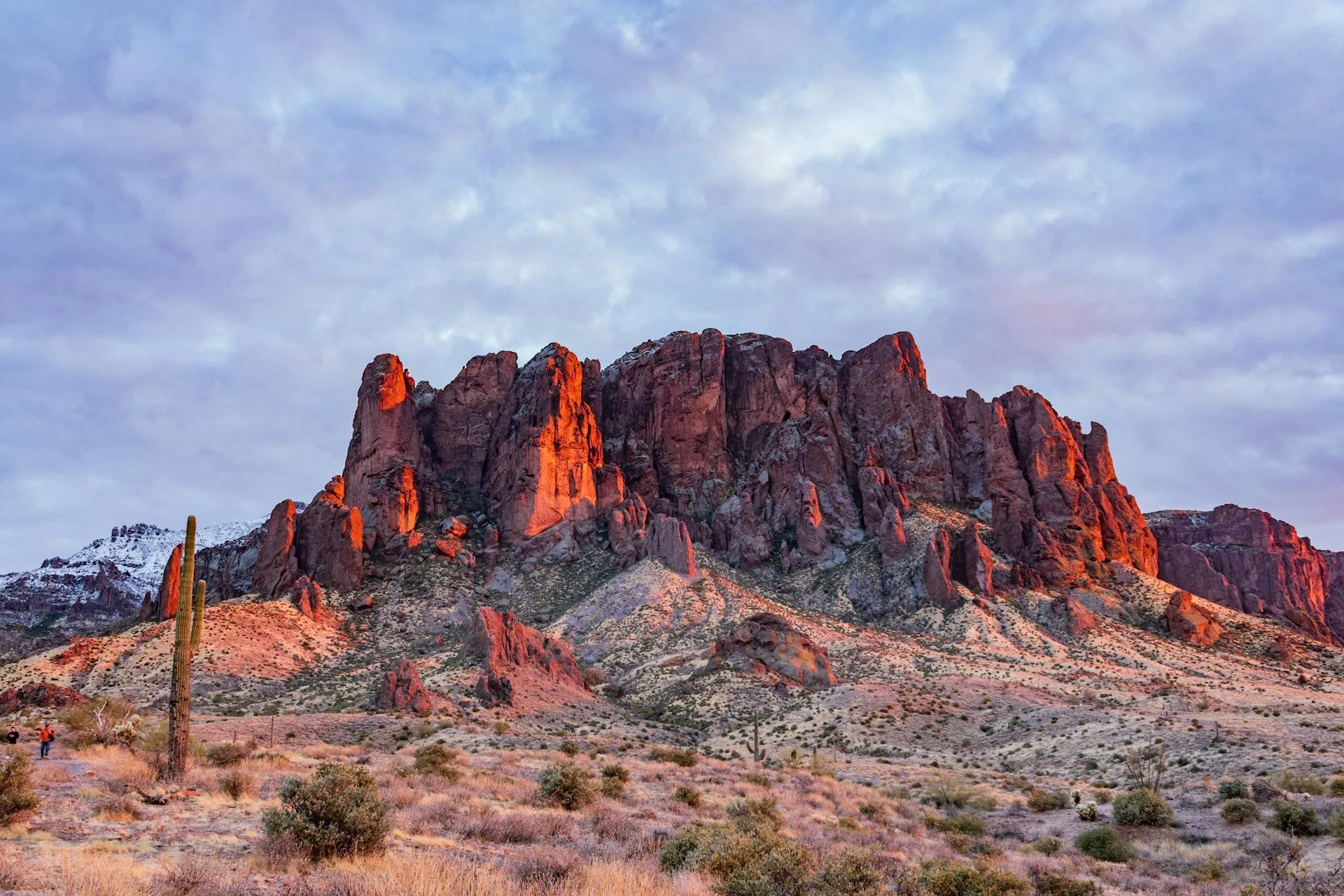 Mesa Arizona real estate