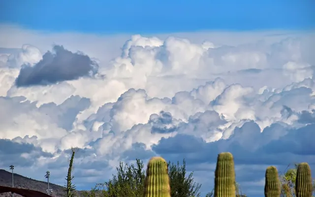 Chandler property management