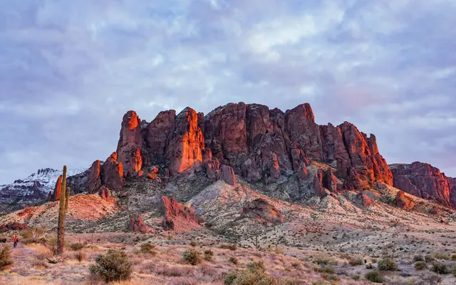 Mesa property management