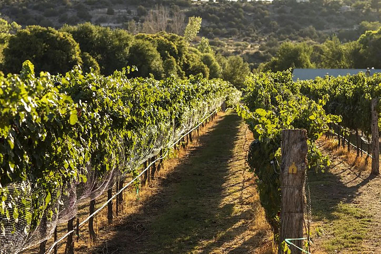 Verde Valley Arizona real estate